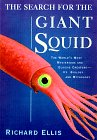Search for the Giant Squid