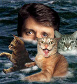 Nicky Campbell's Swimming with Cats